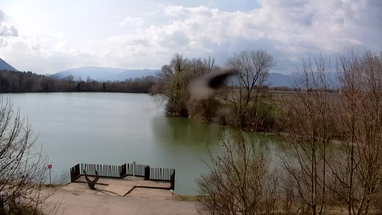 Webcam Ribnik Vrbje – Žalec