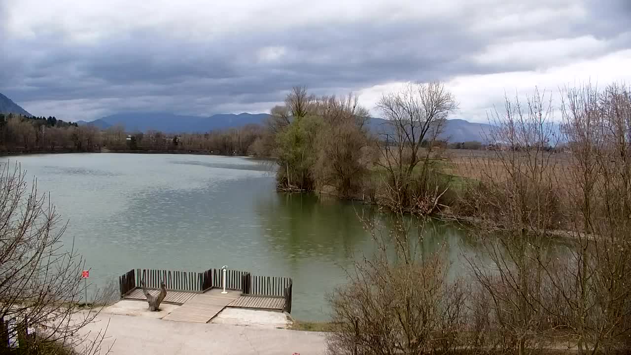 Webcam Ribnik Vrbje – Žalec