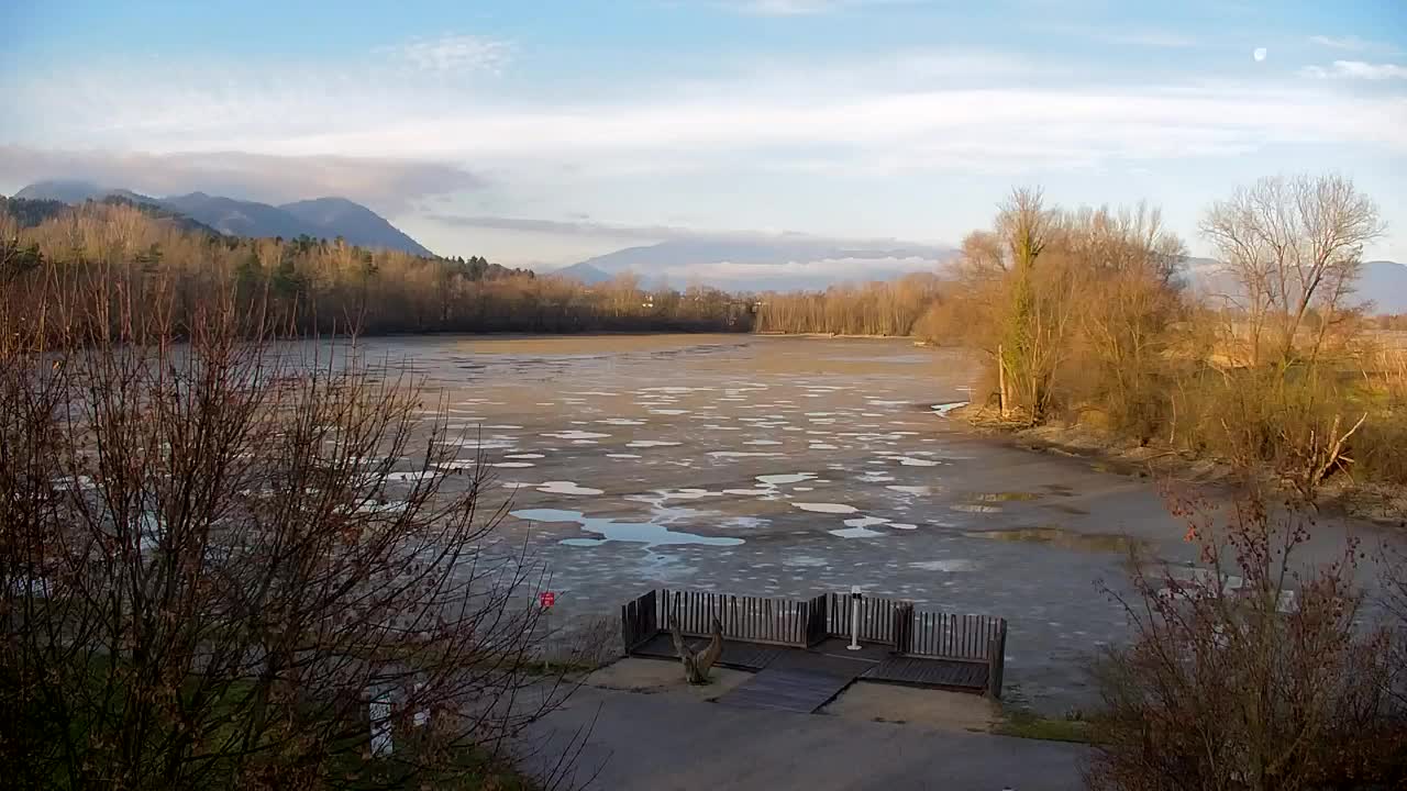 Spletna kamera Ribnik Vrbje – Žalec