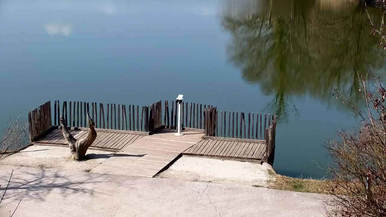 Webcam Ribnik Vrbje – Žalec