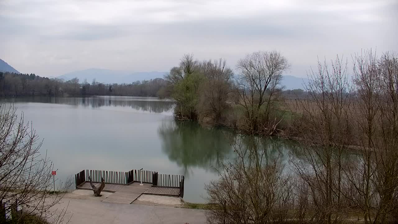 Webcam Ribnik Vrbje – Žalec