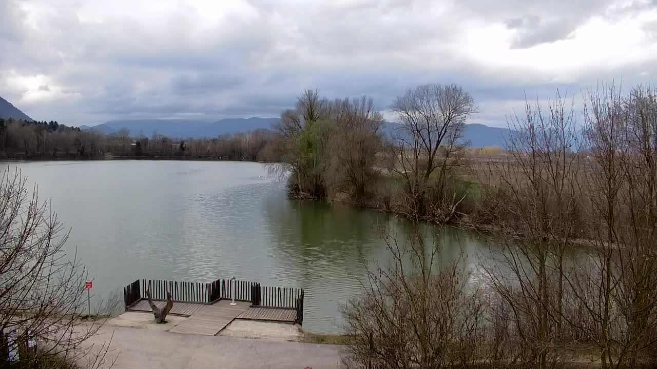 Webcam Ribnik Vrbje – Žalec