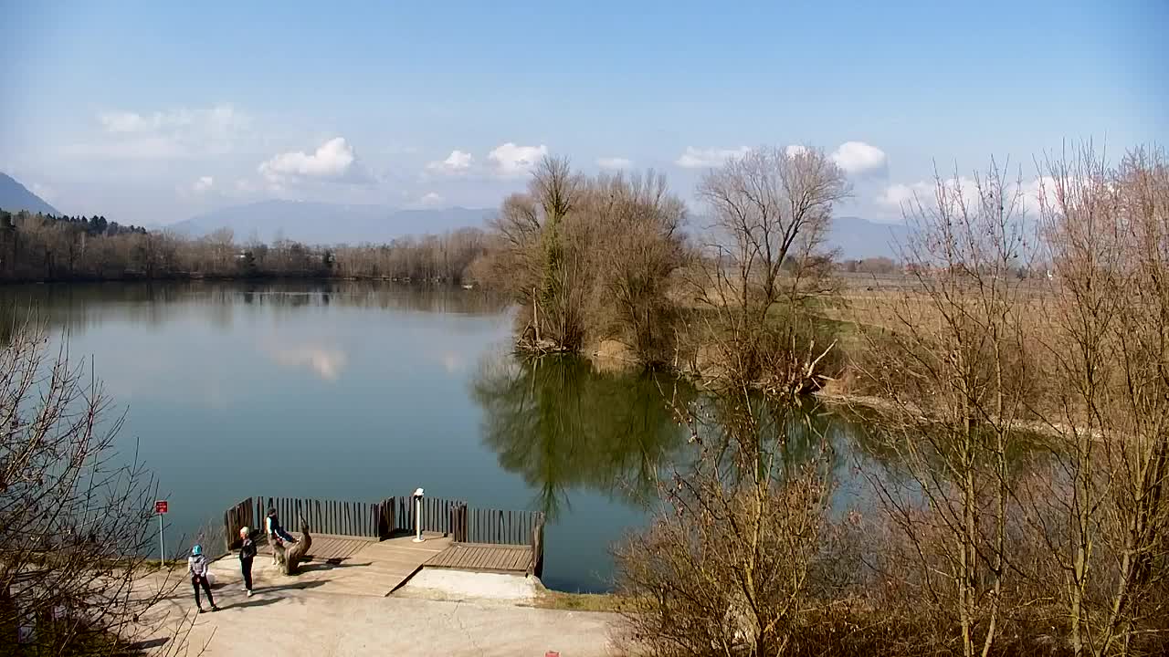 Spletna kamera Ribnik Vrbje – Žalec