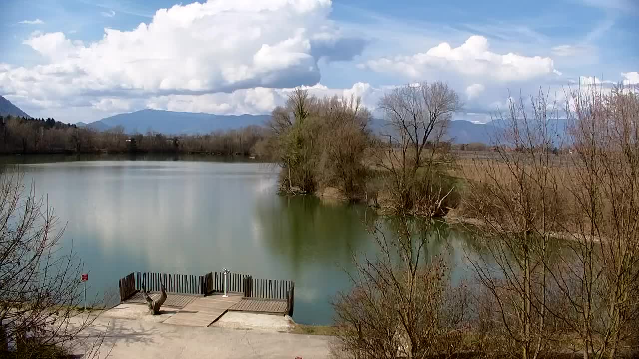 Webcam Ribnik Vrbje – Žalec