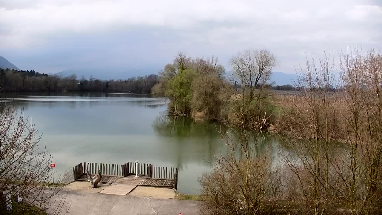 Webcam Ribnik Vrbje – Žalec