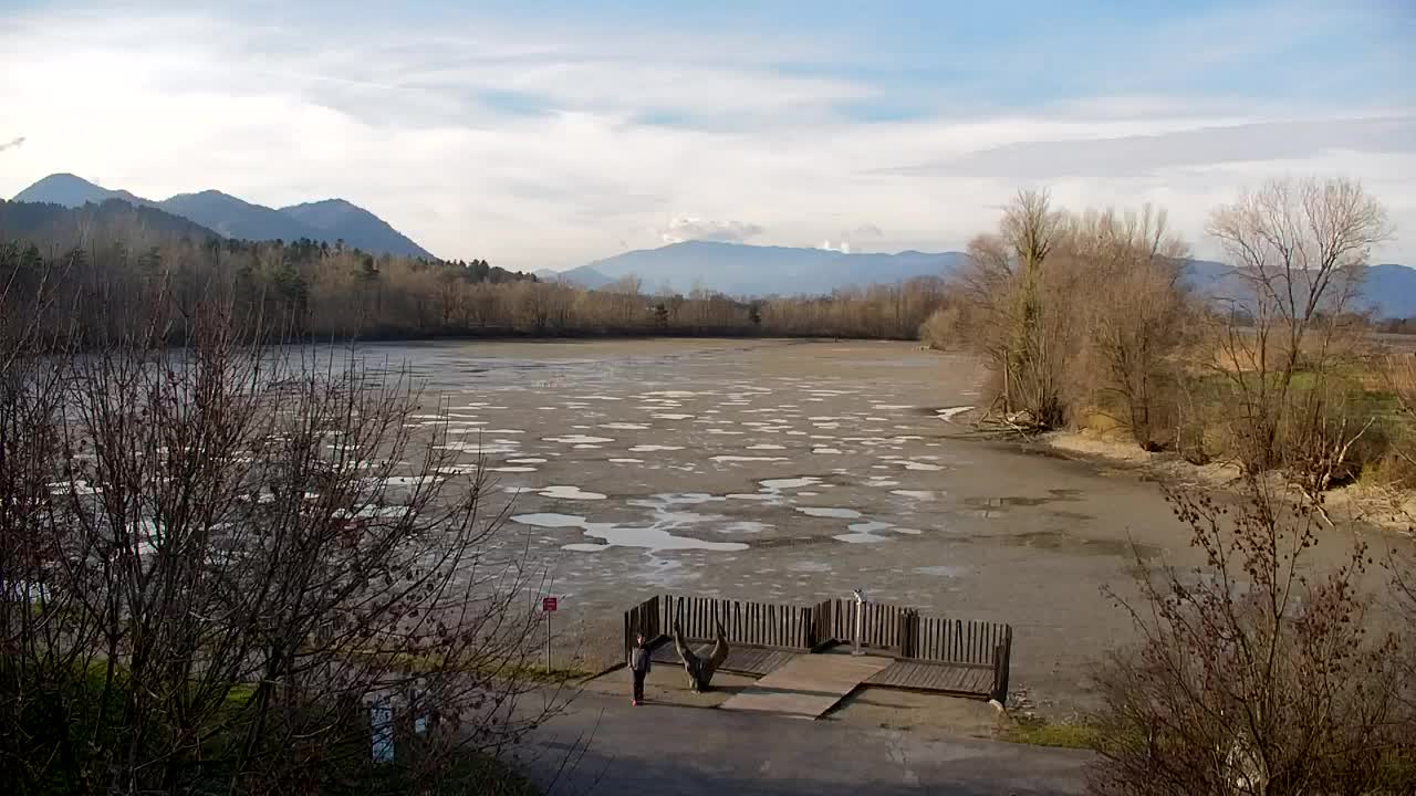 Webcam Ribnik Vrbje – Žalec