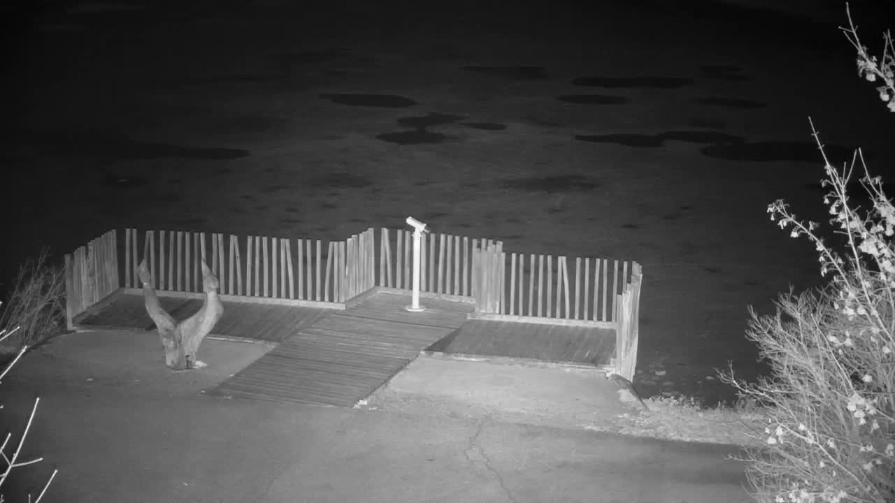 Webcam Ribnik Vrbje – Žalec