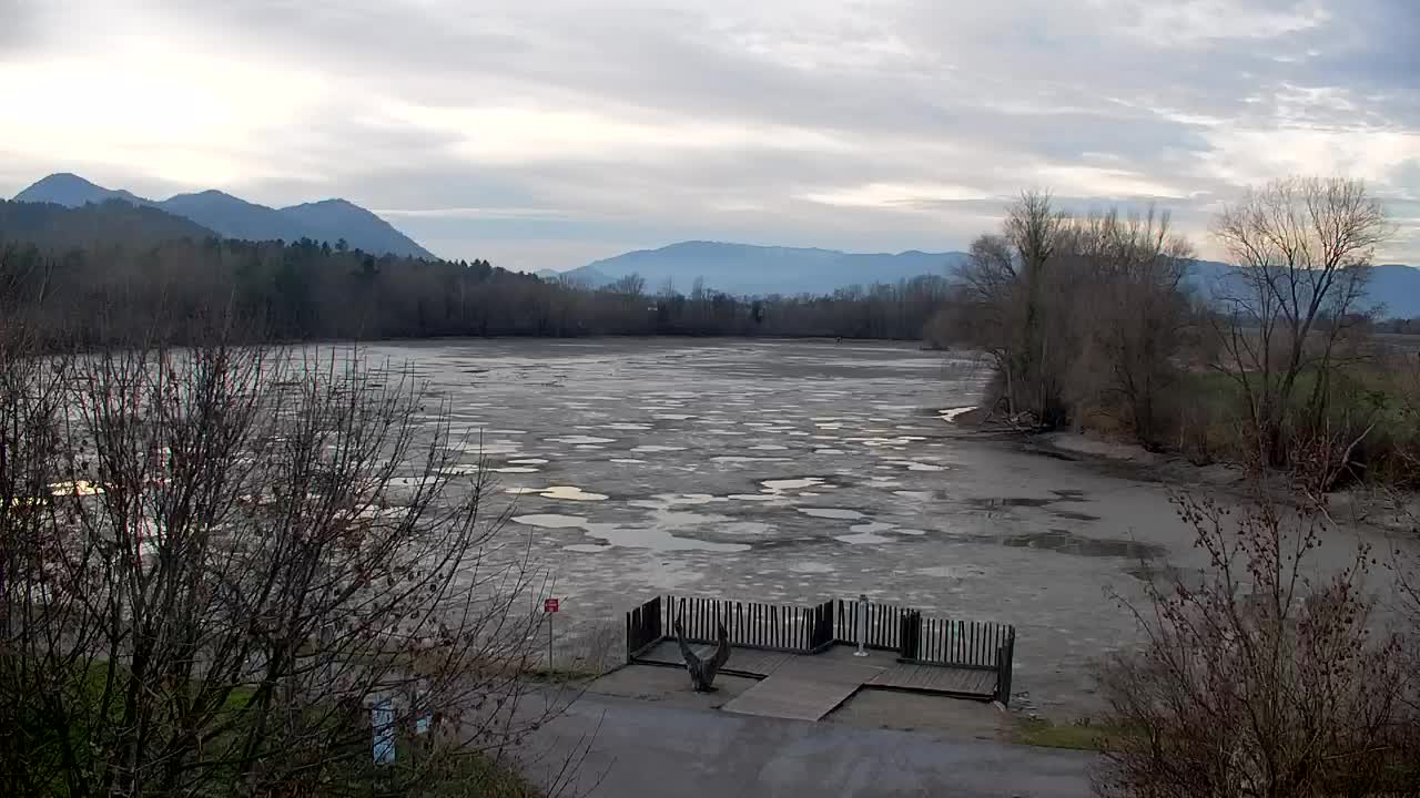 Webcam Ribnik Vrbje – Žalec