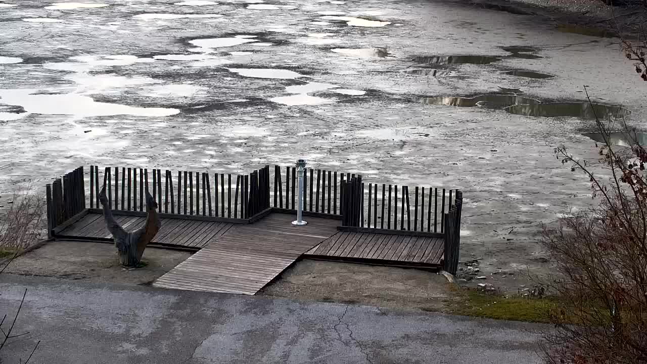 Webcam Ribnik Vrbje – Žalec