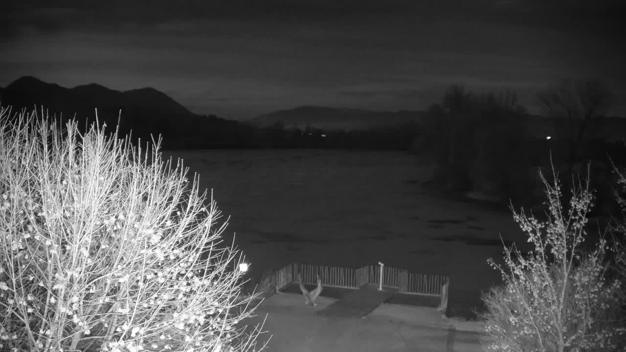 Web kamera Ribnik Vrbje – Žalec