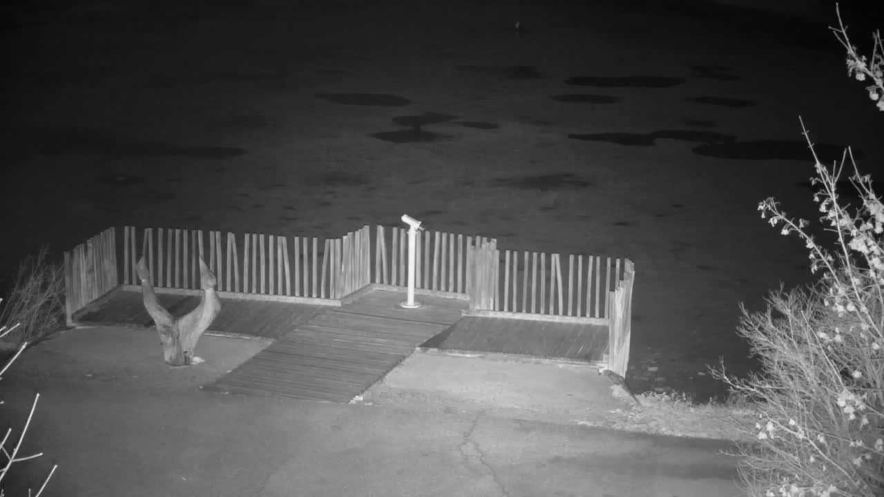 Webcam Ribnik Vrbje – Žalec