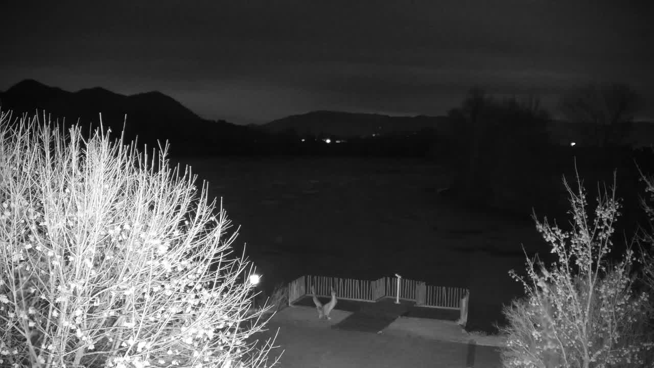 Webcam Ribnik Vrbje – Žalec