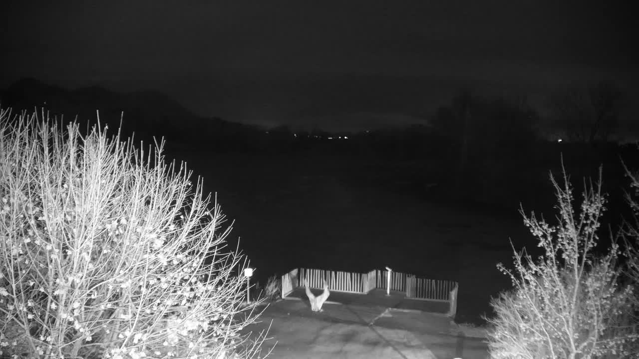 Webcam Ribnik Vrbje – Žalec