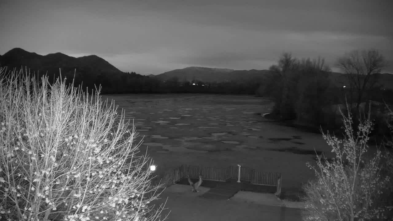 Webcam Ribnik Vrbje – Žalec