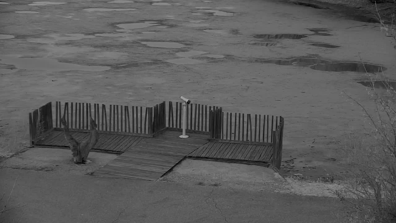 Webcam Ribnik Vrbje – Žalec