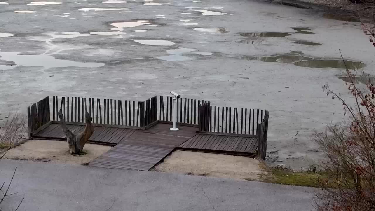 Webcam Ribnik Vrbje – Žalec