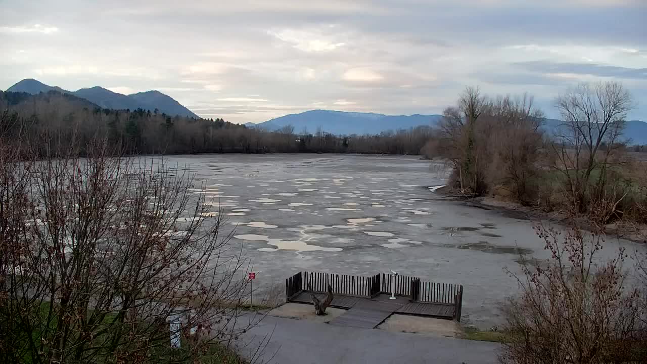 Webcam Ribnik Vrbje – Žalec