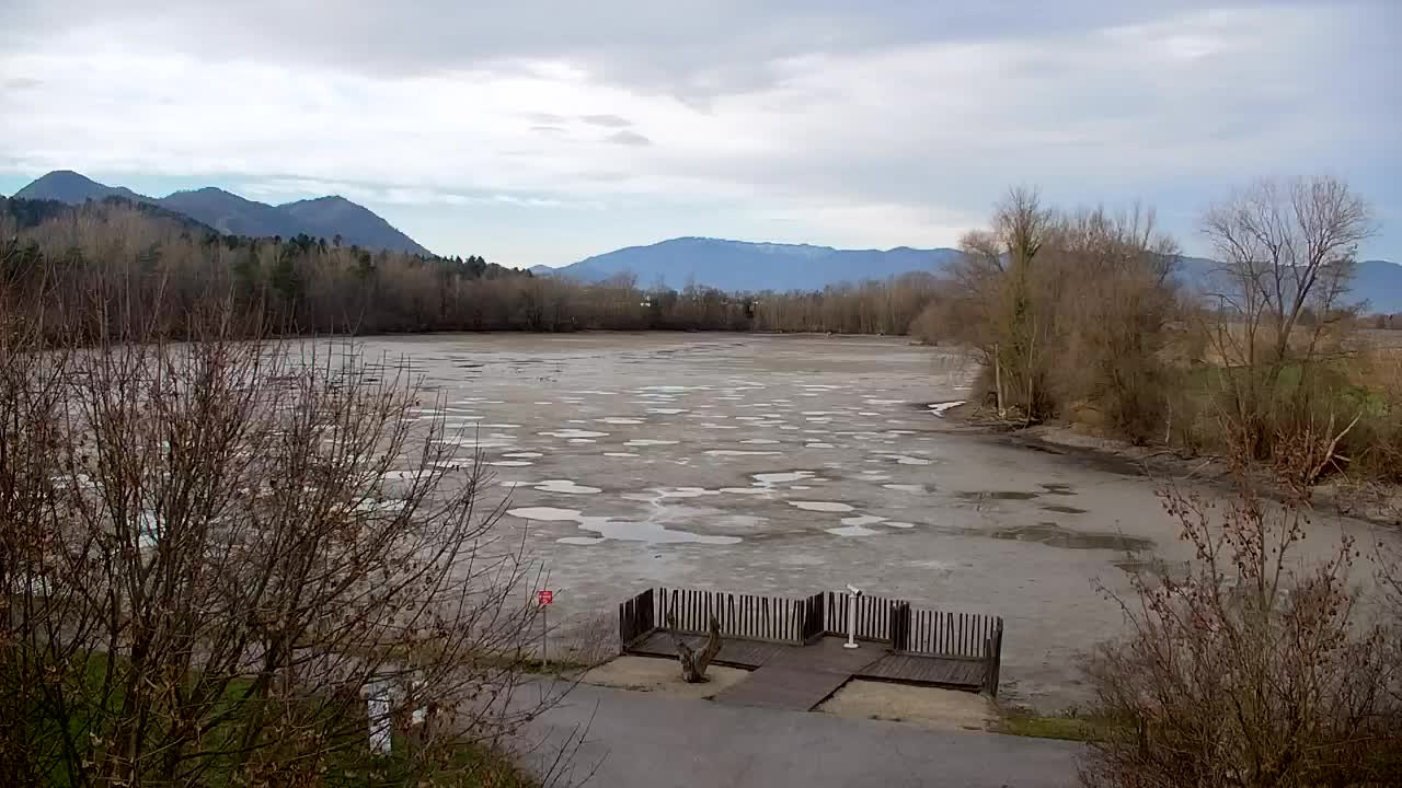 Webcam Ribnik Vrbje – Žalec