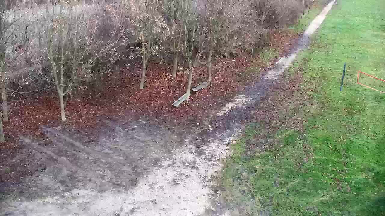 Webcam Ribnik Vrbje – Žalec