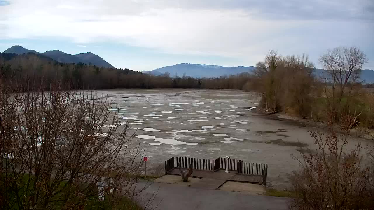 Webcam Ribnik Vrbje – Žalec