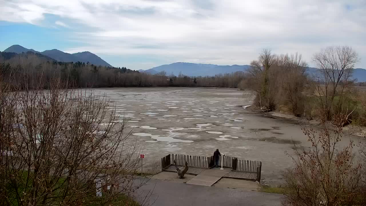 Spletna kamera Ribnik Vrbje – Žalec