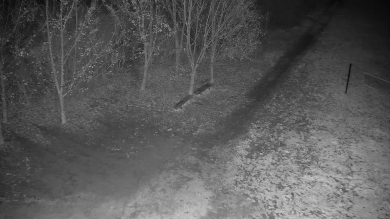 Webcam Ribnik Vrbje – Žalec