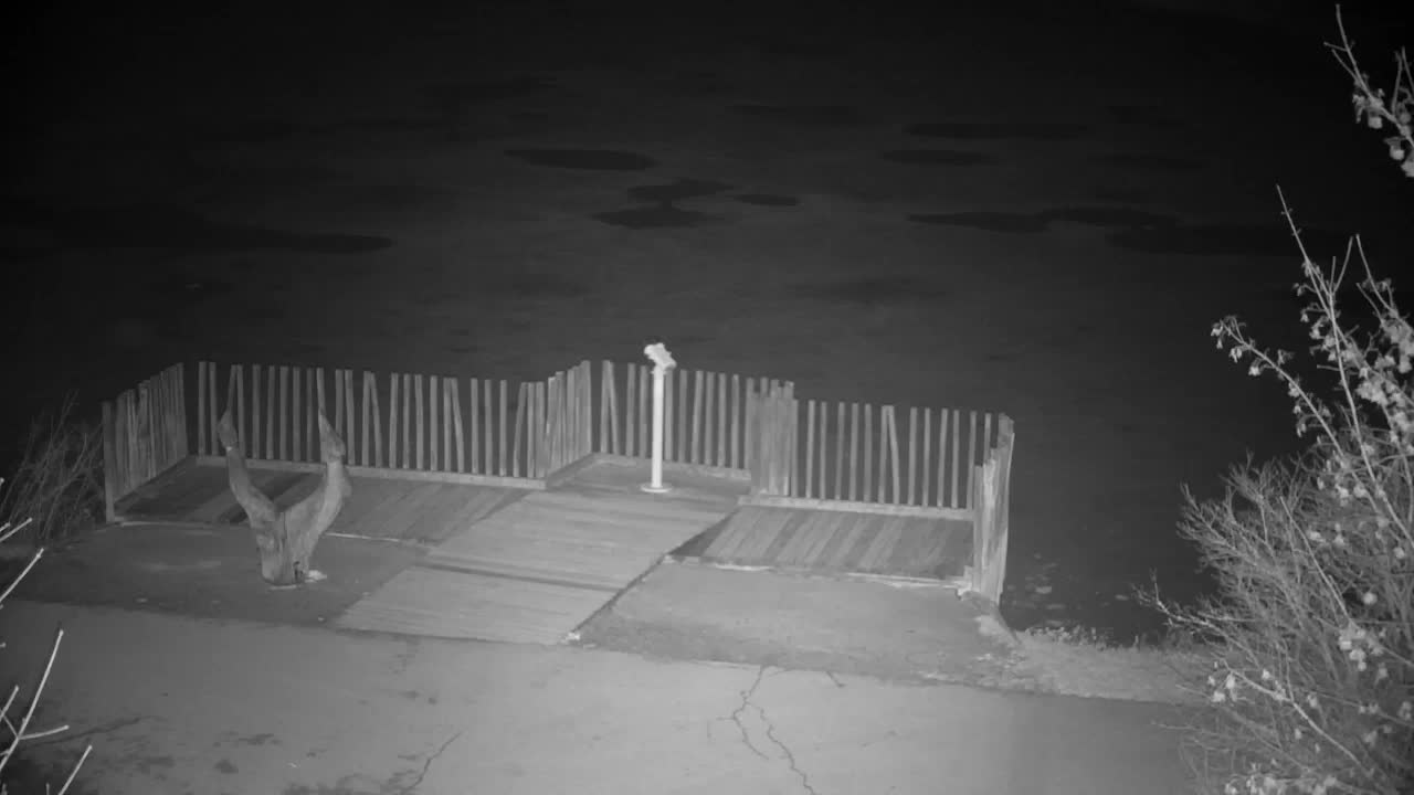 Spletna kamera Ribnik Vrbje – Žalec