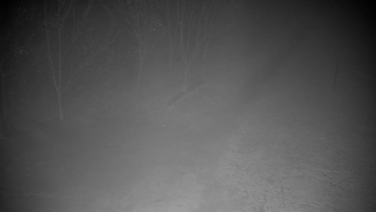 Webcam Ribnik Vrbje – Žalec