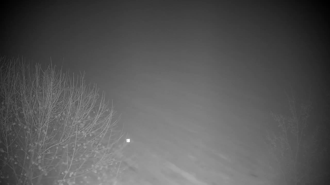 Webcam Ribnik Vrbje – Žalec