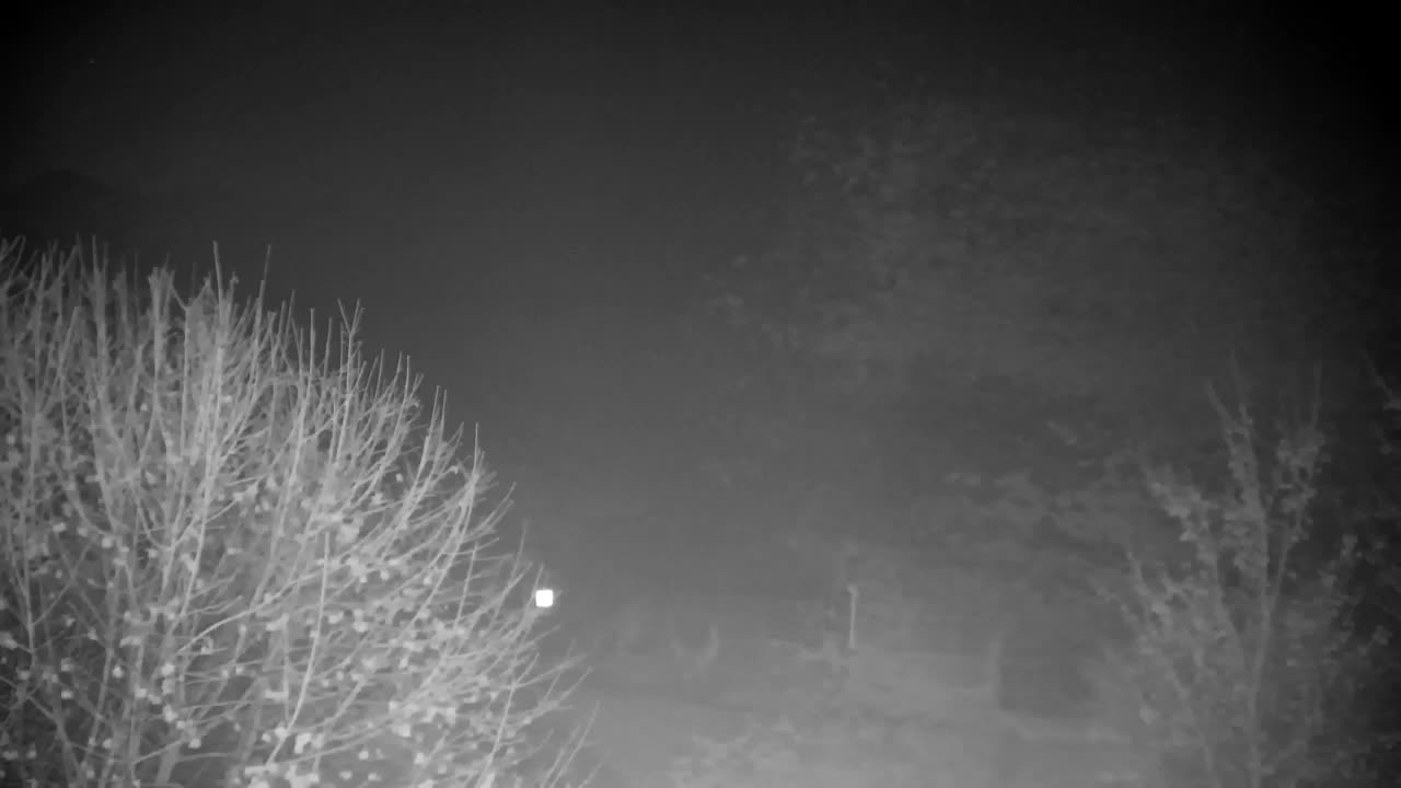 Webcam Ribnik Vrbje – Žalec