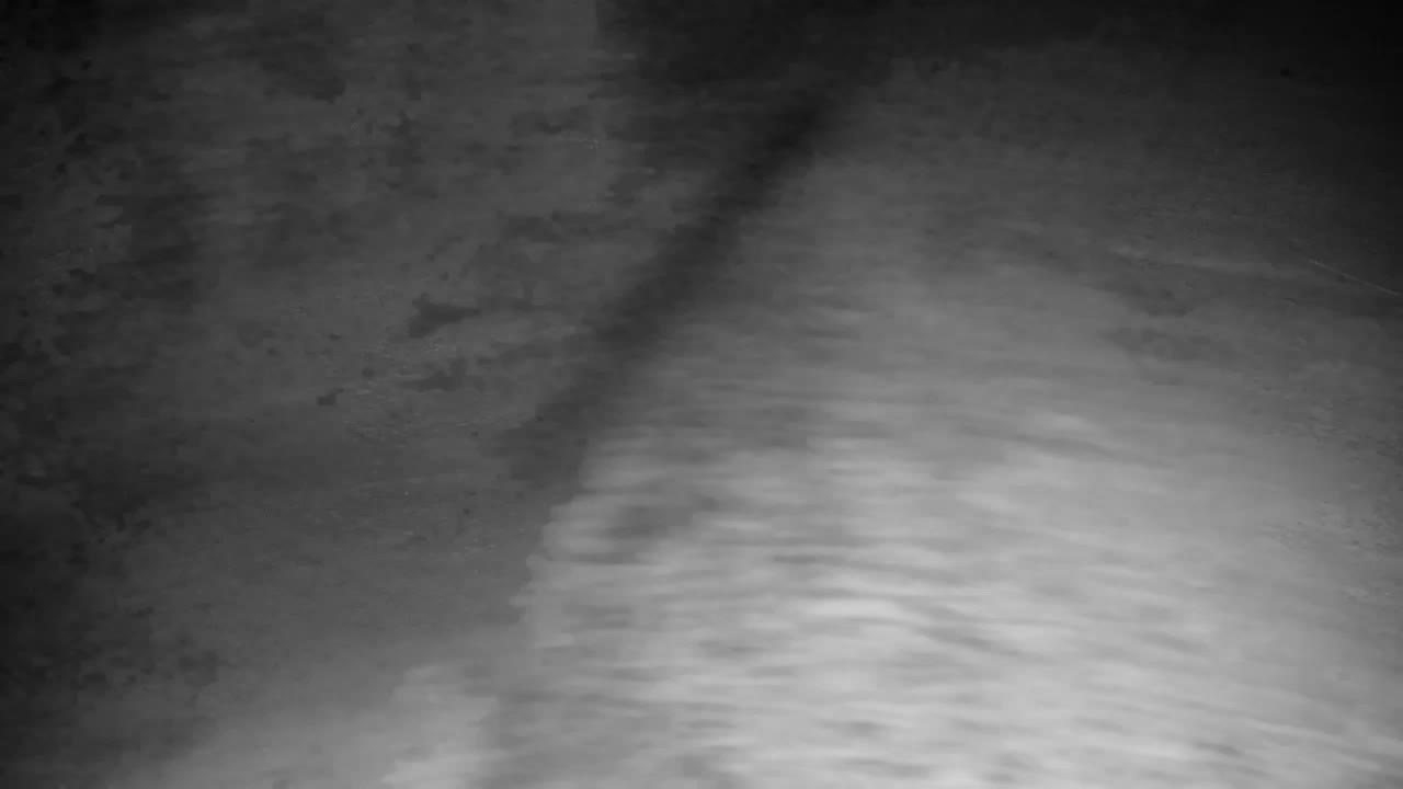 Webcam Ribnik Vrbje – Žalec