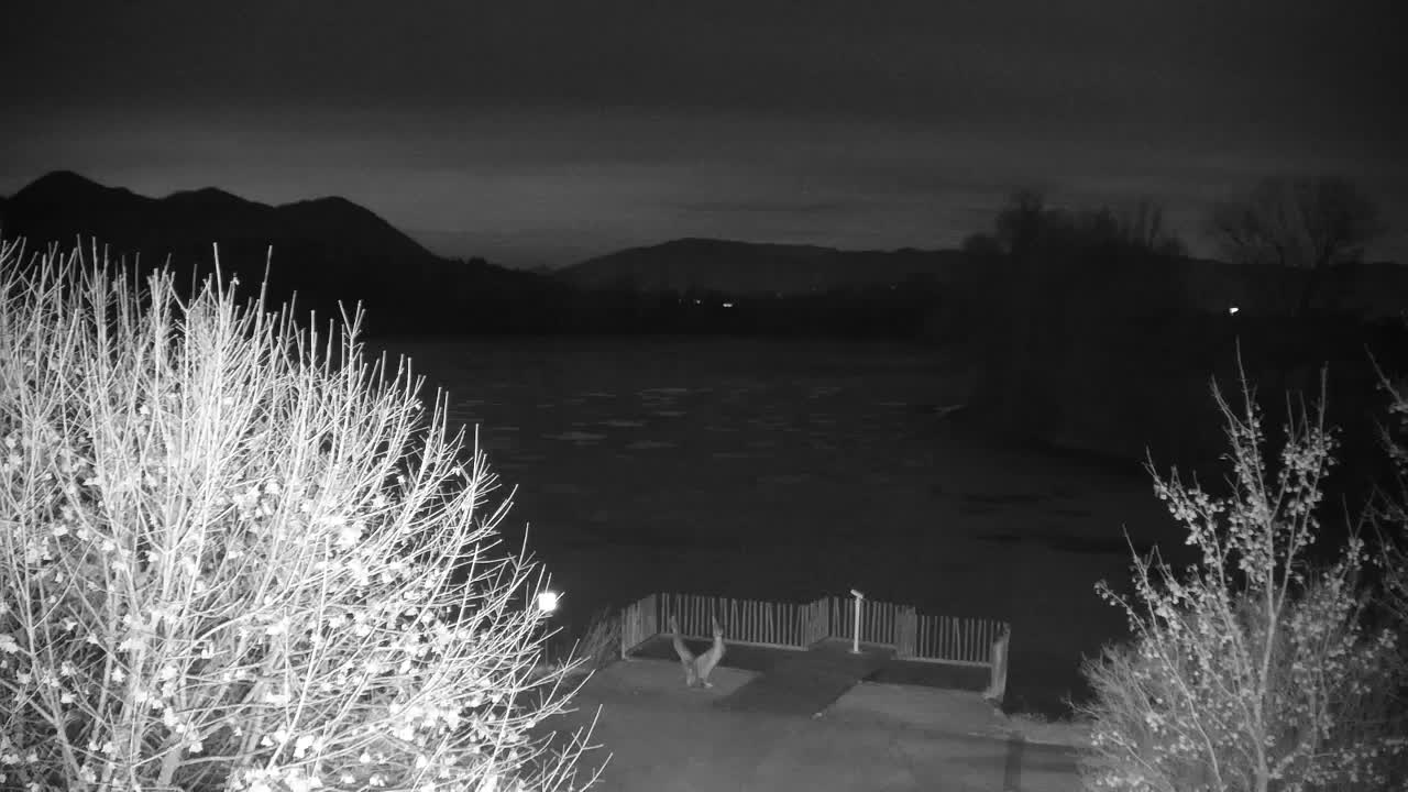 Webcam Ribnik Vrbje – Žalec