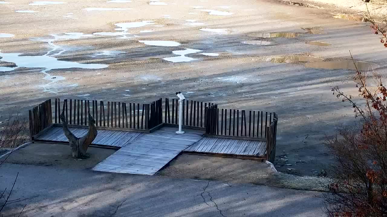 Spletna kamera Ribnik Vrbje – Žalec