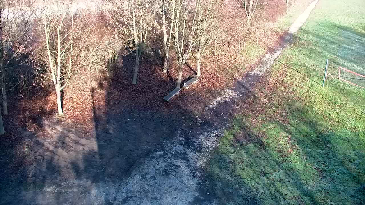 Webcam Ribnik Vrbje – Žalec