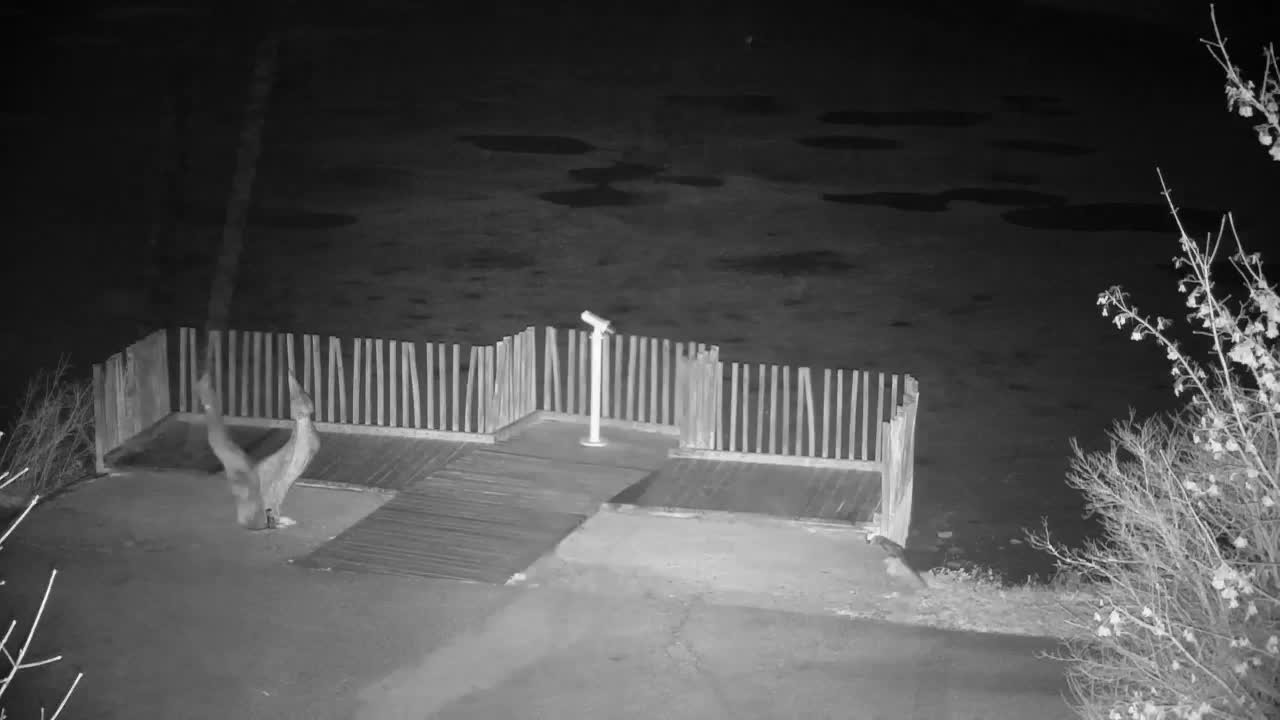 Webcam Ribnik Vrbje – Žalec