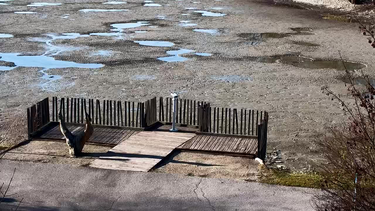 Webcam Ribnik Vrbje – Žalec