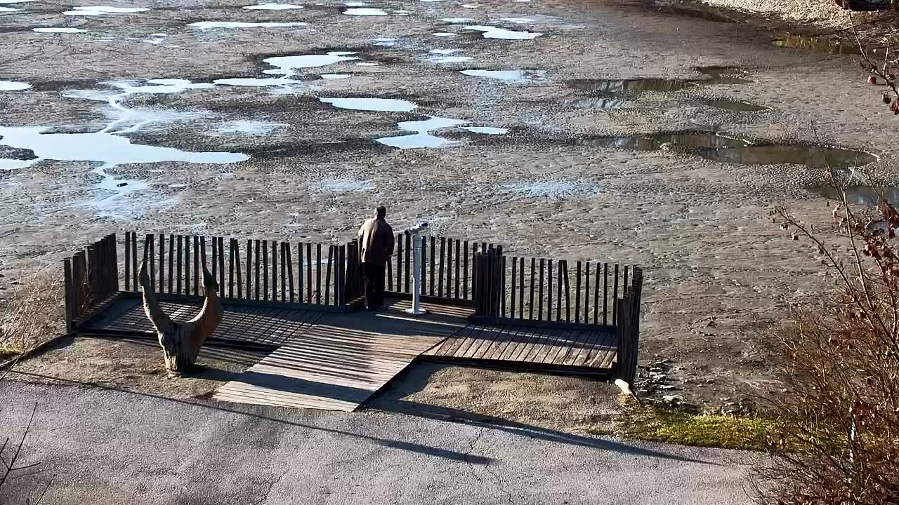 Webcam Ribnik Vrbje – Žalec