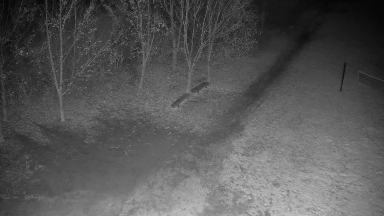 Spletna kamera Ribnik Vrbje – Žalec