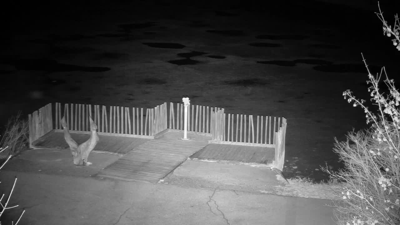 Spletna kamera Ribnik Vrbje – Žalec