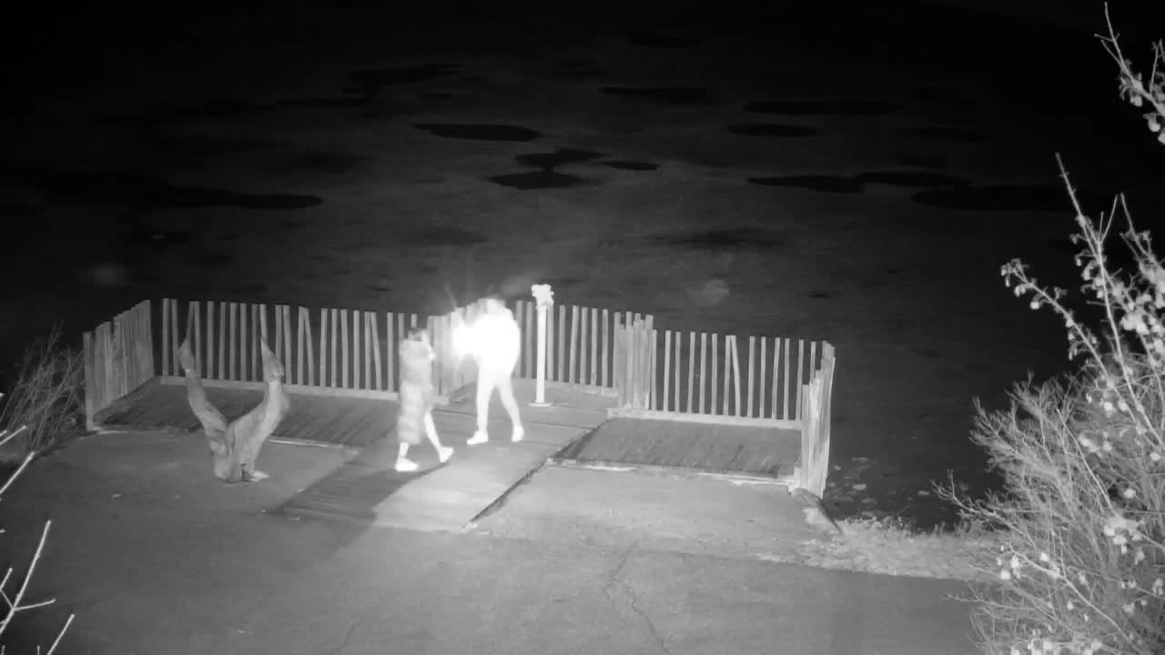 Webcam Ribnik Vrbje – Žalec