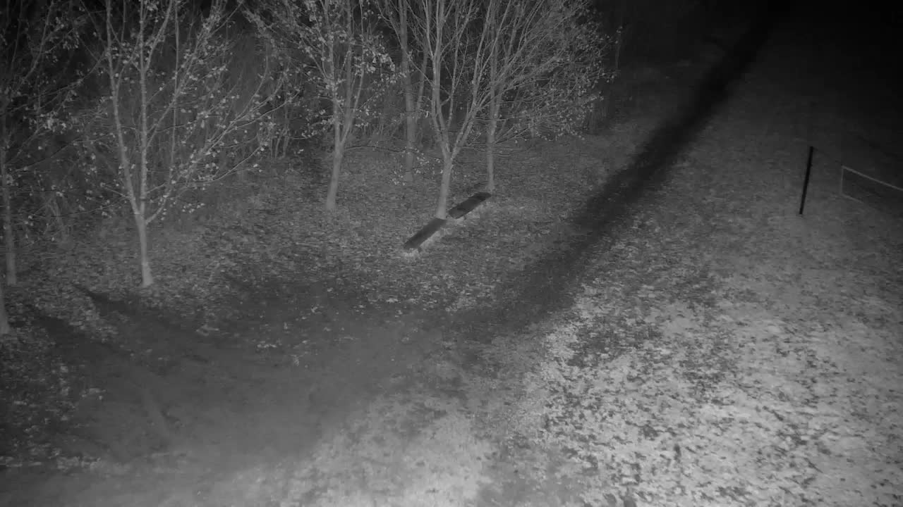 Web kamera Ribnik Vrbje – Žalec