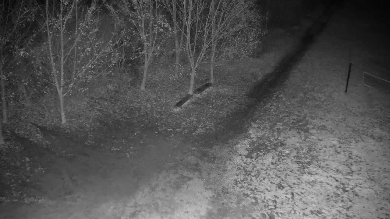 Webcam Ribnik Vrbje – Žalec