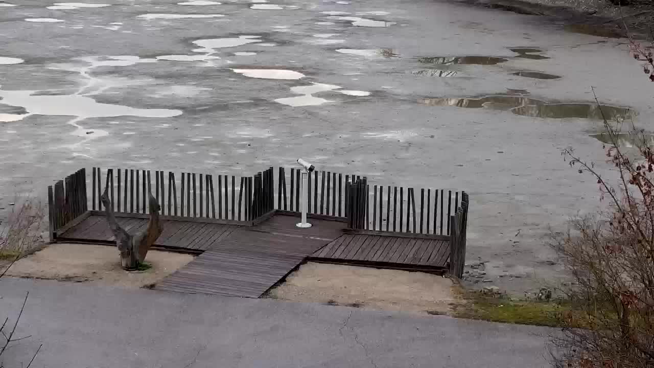 Webcam Ribnik Vrbje – Žalec