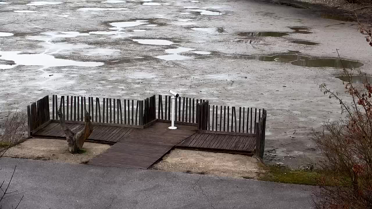 Webcam Ribnik Vrbje – Žalec