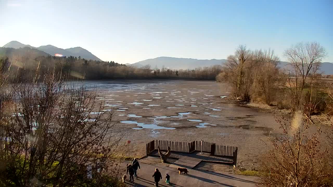 Web kamera Ribnik Vrbje – Žalec