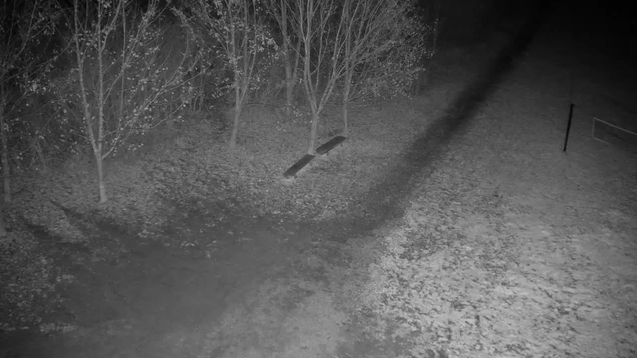 Webcam Ribnik Vrbje – Žalec