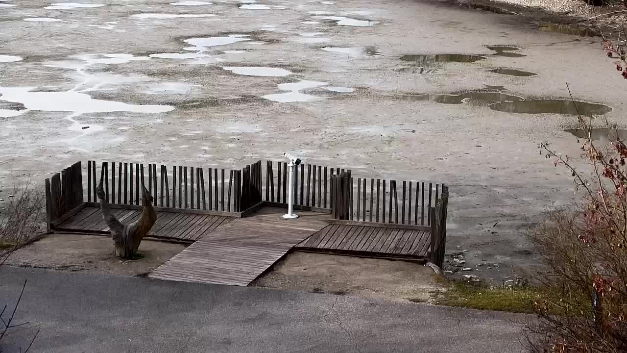 Webcam Ribnik Vrbje – Žalec