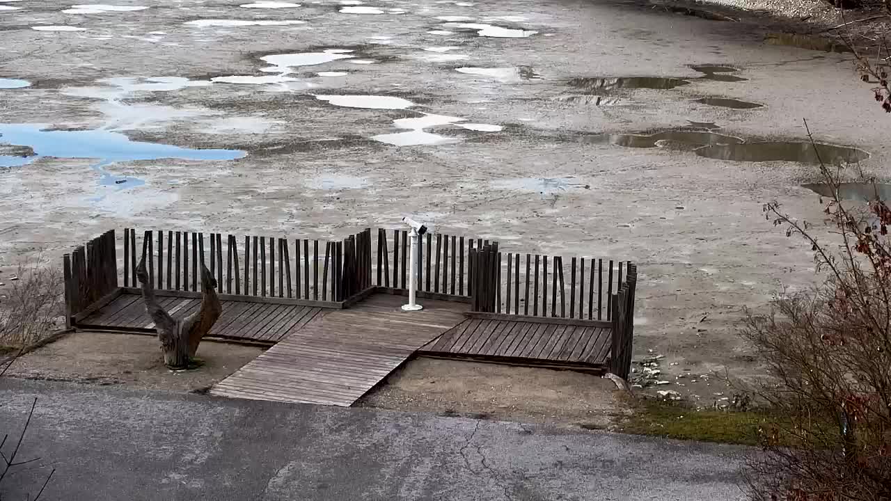 Webcam Ribnik Vrbje – Žalec