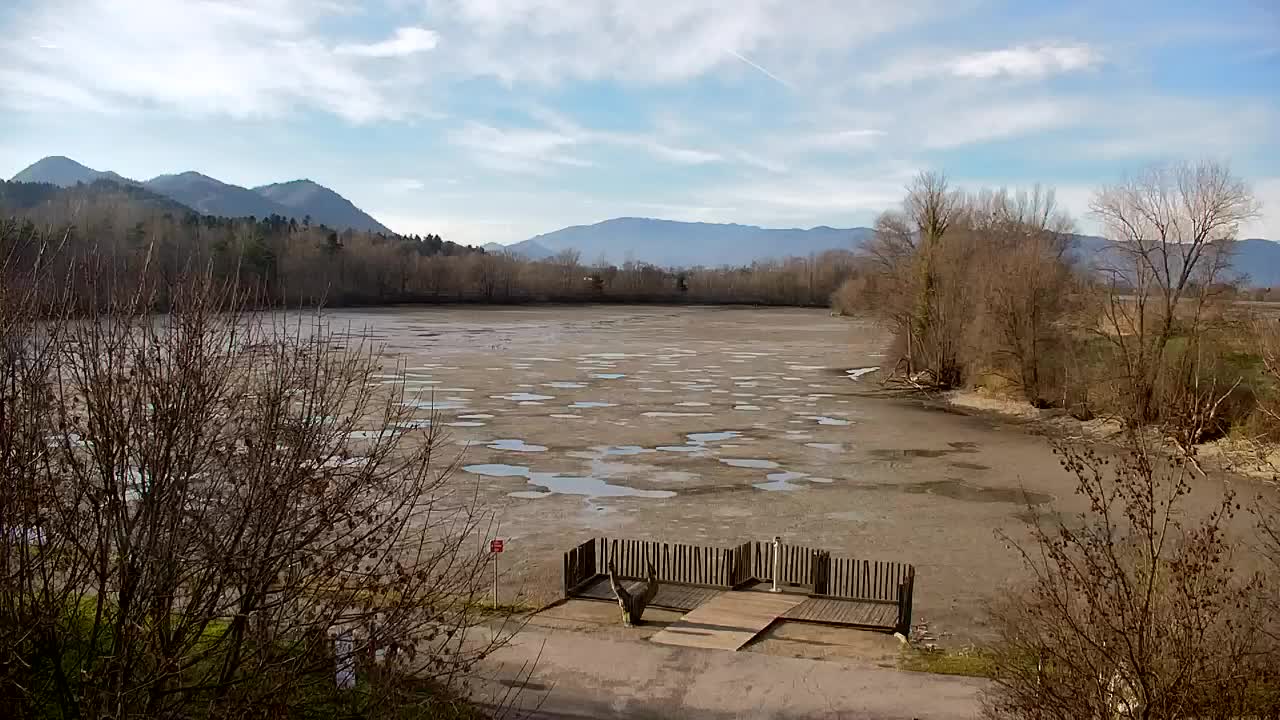 Spletna kamera Ribnik Vrbje – Žalec