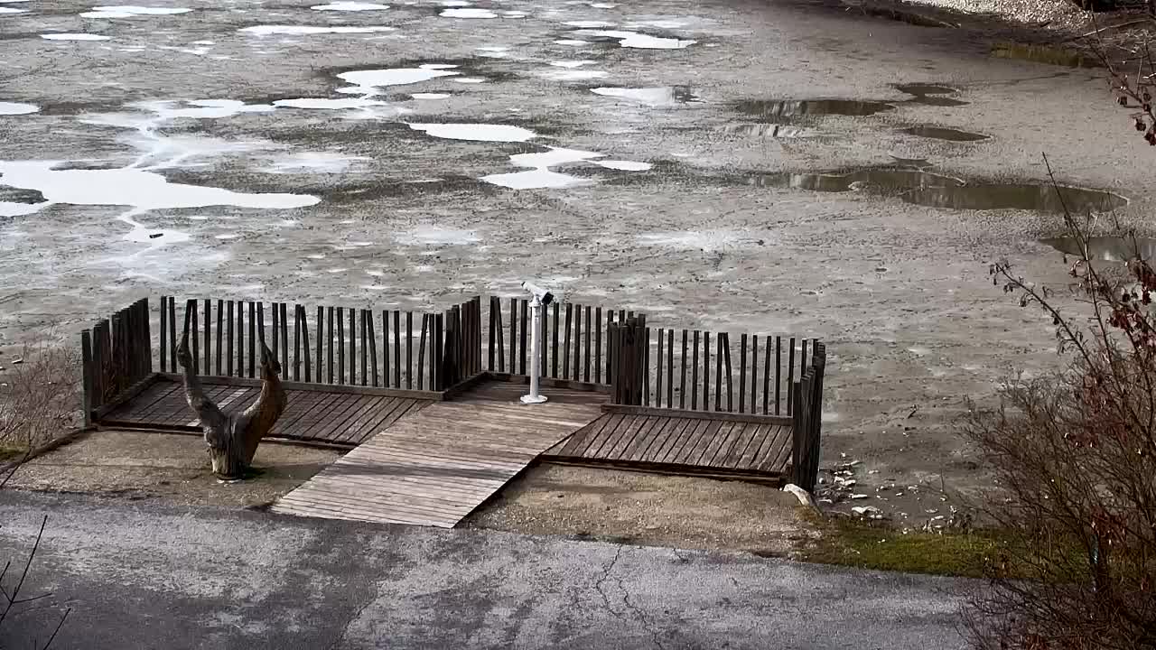 Webcam Ribnik Vrbje – Žalec